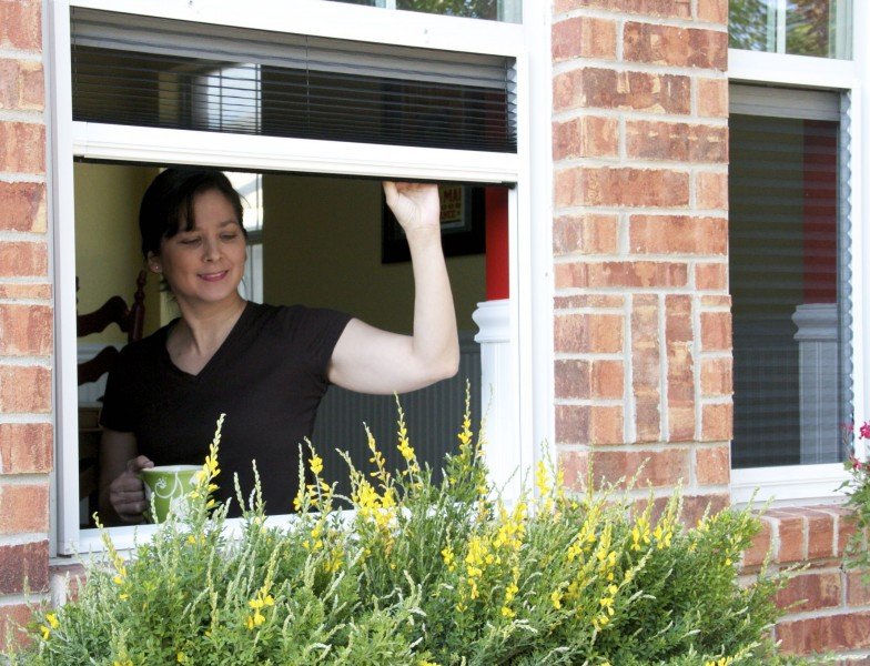 سعر السلك البليسيه